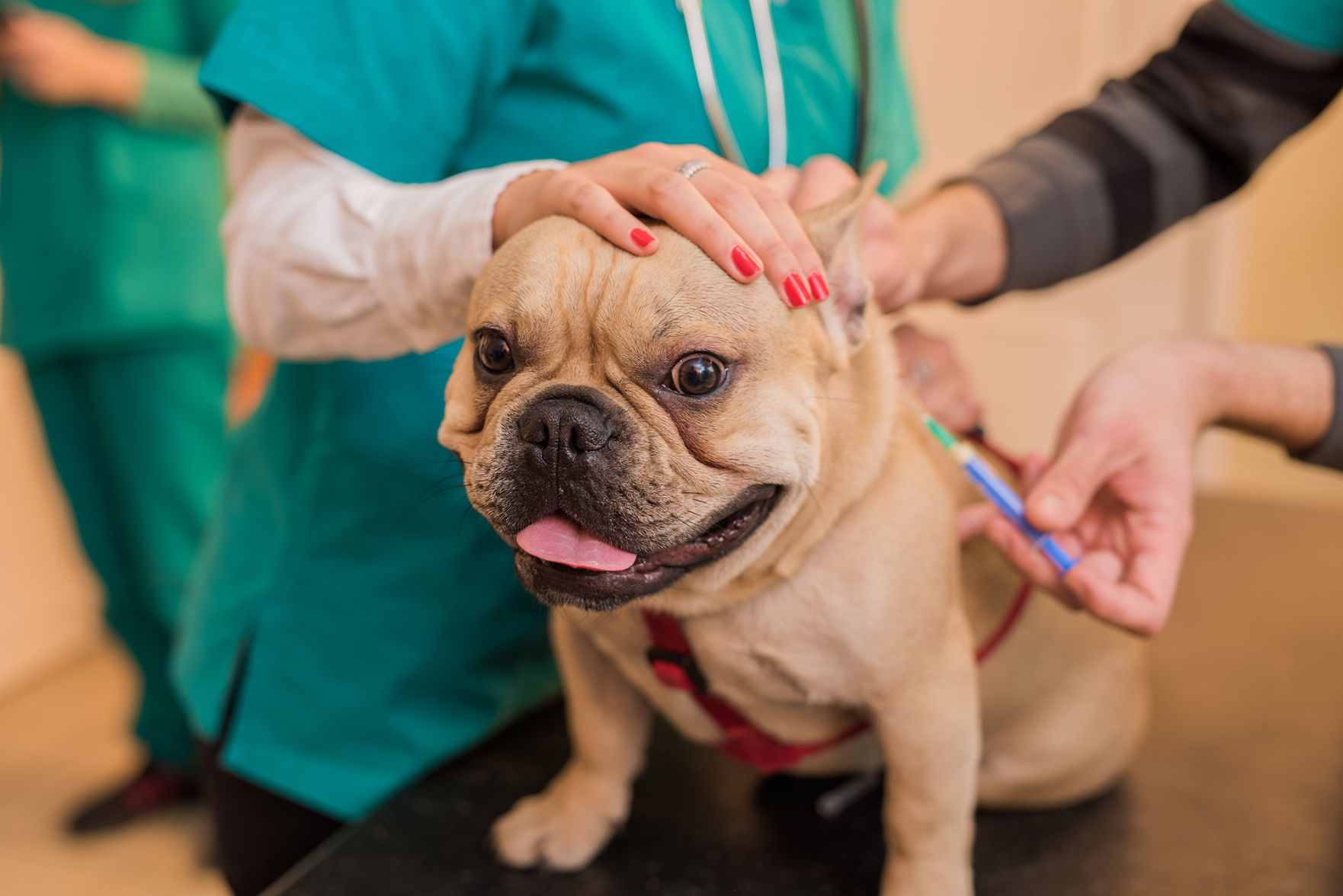 Vaccinations
